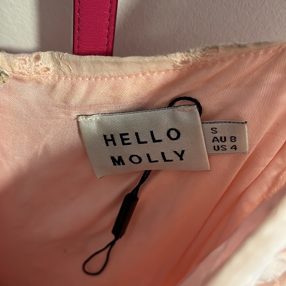 Hello Molly Pink Roses Dress - Picture 4 of 7